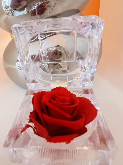 Écrin Diamant Rose Éternel