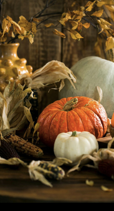 Mercredi 15 octobre - Citrouille Halloween -