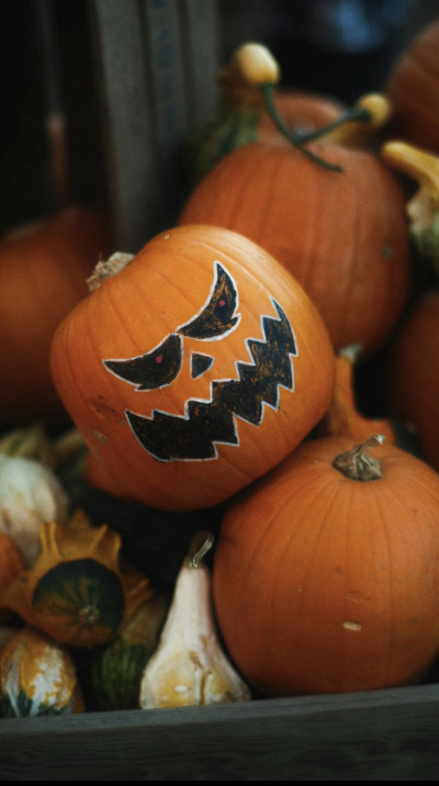 Mercredi 15 octobre - Citrouille Halloween -