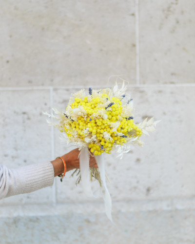 Corsica Immortelle