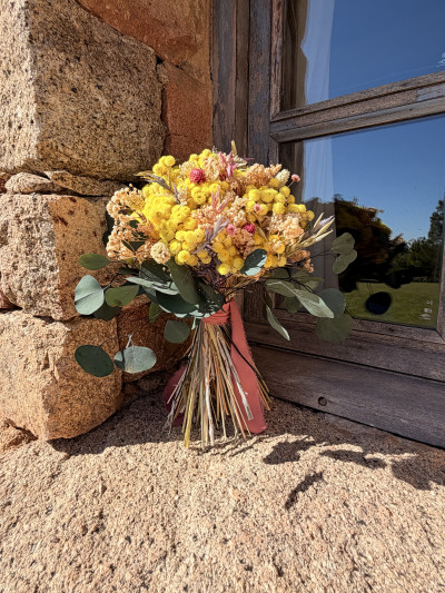 Corsica Immortelle Sable Rose