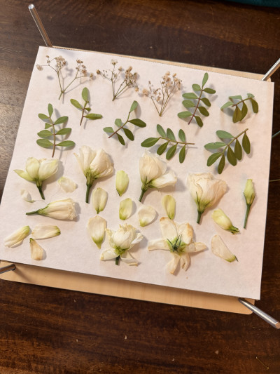 Conservation de votre bouquet  Herbier floral & tableau 3D