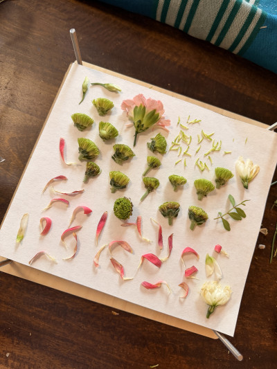 Conservation de votre bouquet  Herbier floral & tableau 3D