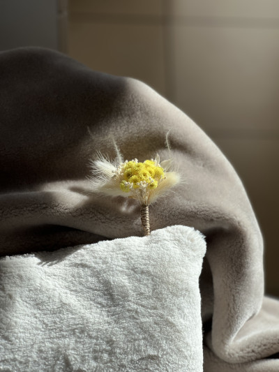 Boutonnière de Marié Corsica Immortelle