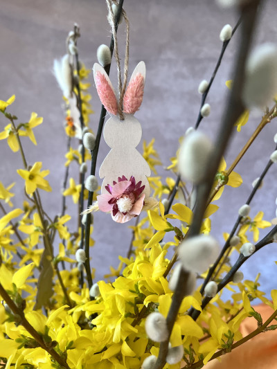 Mon Charmant Lapin