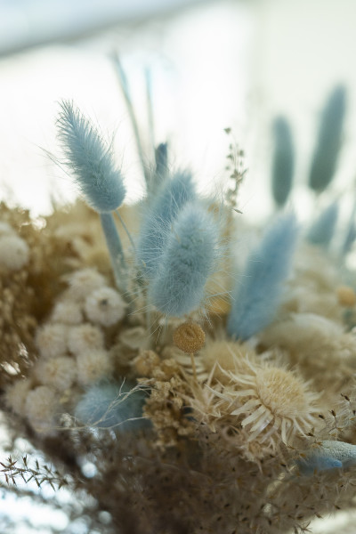 Méditerranée Turquoise - Fleurs Séchées